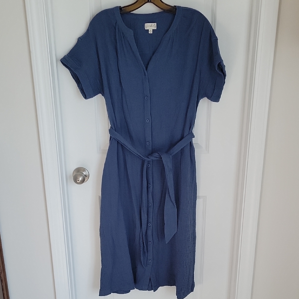 Blue Button-Down Midi Dress